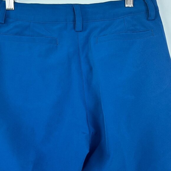 TGW (Tiger Woods) Golf Pants Men's Size Small | Blue | Elastic Waist - Picture 4 of 9